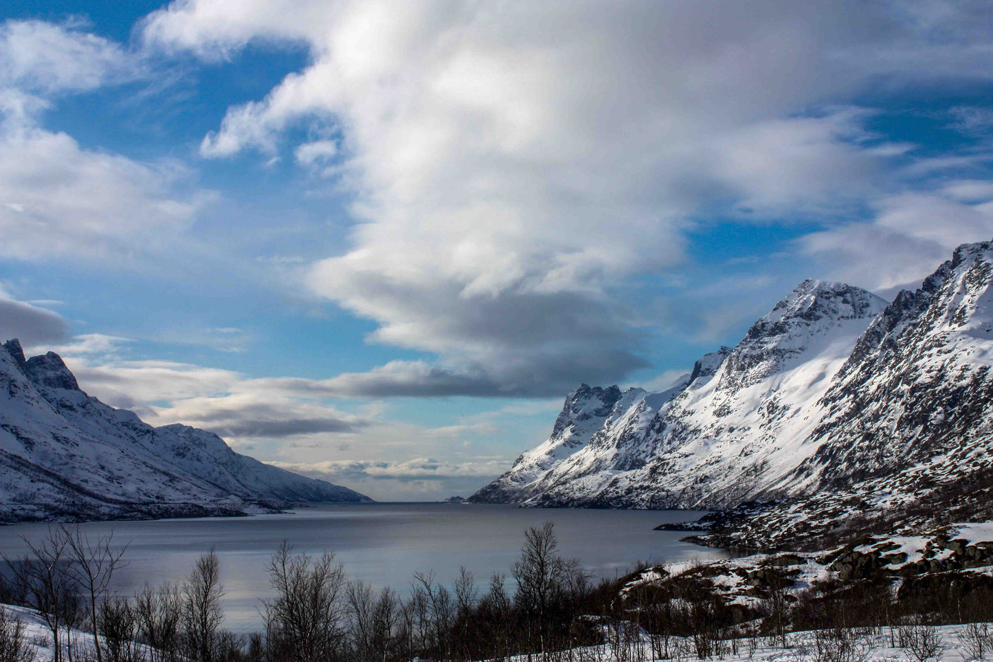 Arctic Fjord Adventure - Up to 15 Guests | Local Guide | Scenic Coastline Tour