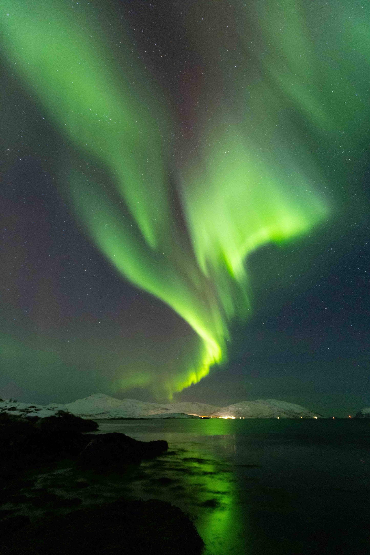 Northern Lights Chase - Up to 15 Guests | Local Guide | Real Arctic Experience