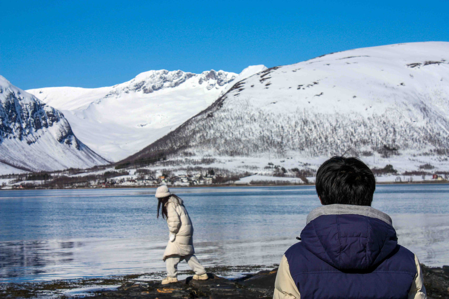 Arctic Fjord Adventure - Up to 15 Guests | Local Guide | Scenic Coastline Tour