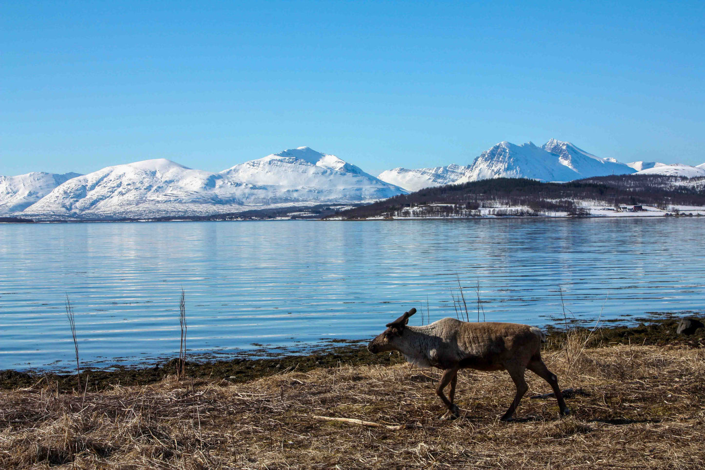 Arctic Fjord Adventure - Up to 15 Guests | Local Guide | Scenic Coastline Tour