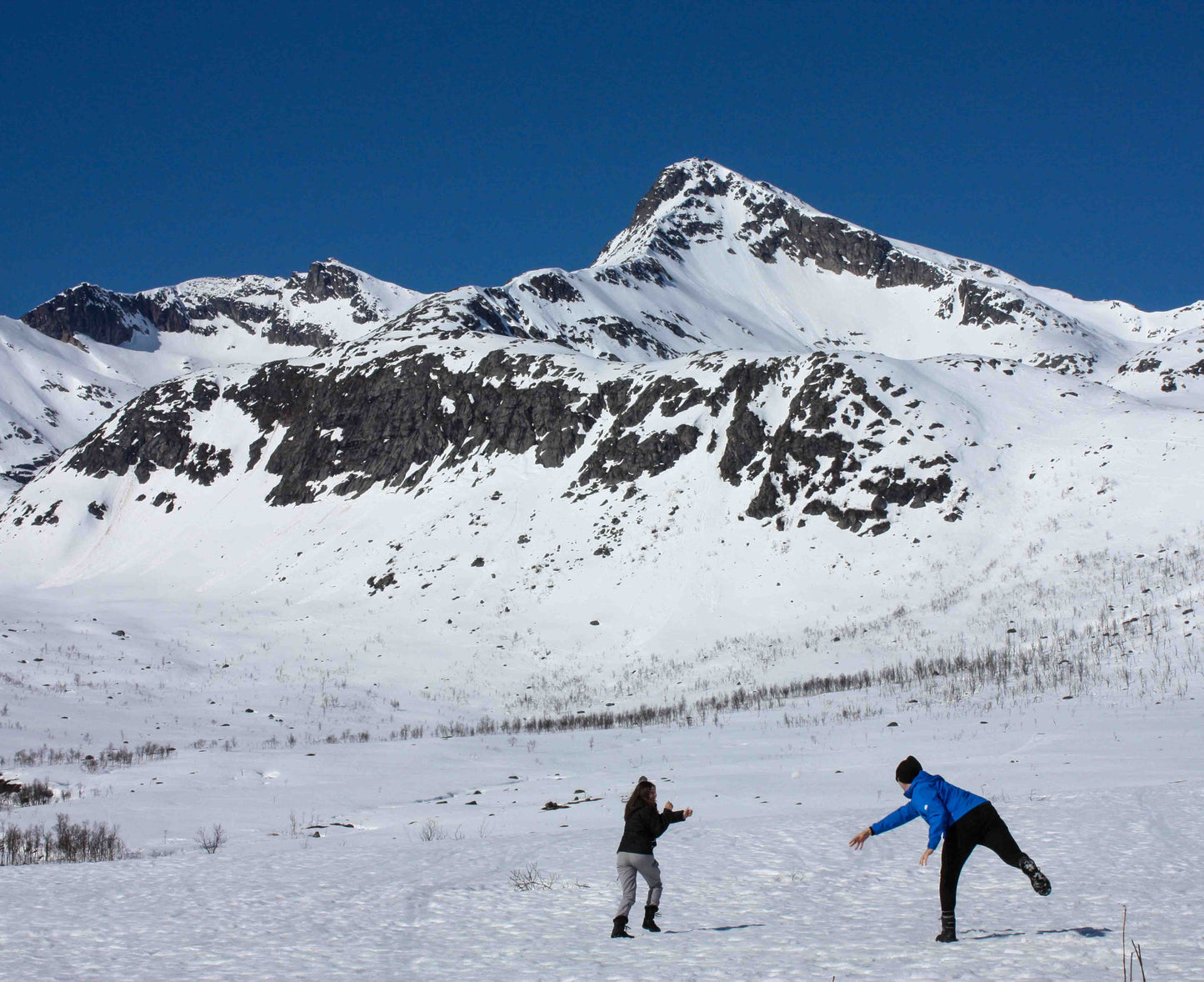 Arctic Fjord Adventure - Up to 15 Guests | Local Guide | Scenic Coastline Tour