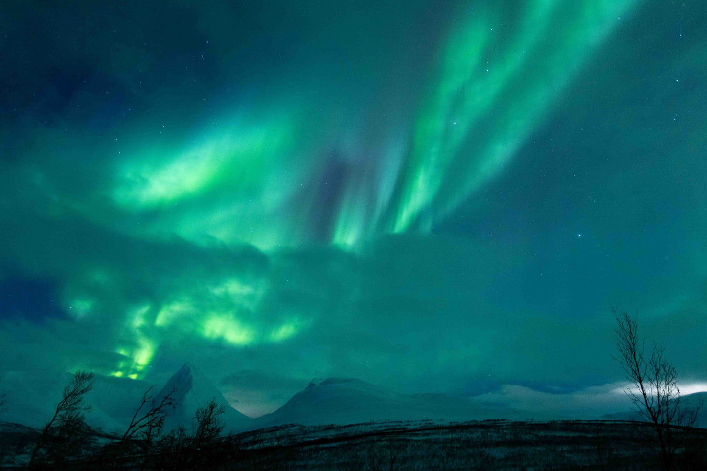 Northern Lights Chase - Up to 15 Guests | Local Guide | Real Arctic Experience